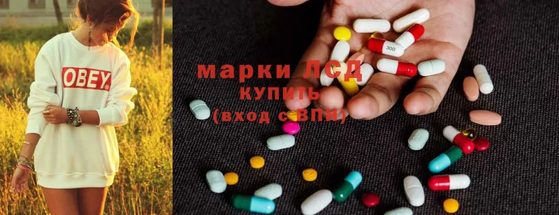 LSD-25 экстази кислота  дарнет шоп  Новодвинск 